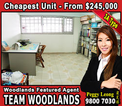Blk 212 MARSILING CRESCENT (Woodlands), HDB 3 Rooms #156739442